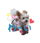 愛犬メイの日常2（個別スタンプ：6）