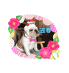 おとぼけ♪BOSS♡2（個別スタンプ：11）