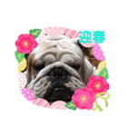 おとぼけ♪BOSS♡2（個別スタンプ：12）