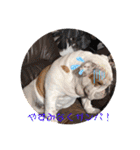 おとぼけ♪BOSS♡2（個別スタンプ：21）