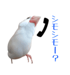 チョコ＆ユキ＆ペコ（個別スタンプ：4）