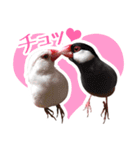 チョコ＆ユキ＆ペコ（個別スタンプ：7）