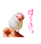 チョコ＆ユキ＆ペコ（個別スタンプ：9）