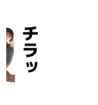 チョコ＆ユキ＆ペコ（個別スタンプ：10）