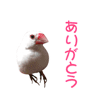 チョコ＆ユキ＆ペコ（個別スタンプ：14）