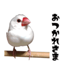 チョコ＆ユキ＆ペコ（個別スタンプ：22）