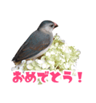 チョコ＆ユキ＆ペコ（個別スタンプ：23）