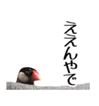チョコ＆ユキ＆ペコ（個別スタンプ：24）