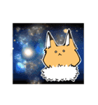 おあげ時々くま（個別スタンプ：16）