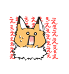 おあげ時々くま（個別スタンプ：19）