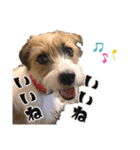 着せ替えピコラ（個別スタンプ：7）