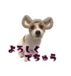着せ替えピコラ（個別スタンプ：8）