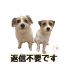 着せ替えピコラ（個別スタンプ：11）