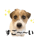 着せ替えピコラ（個別スタンプ：13）