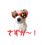 着せ替えピコラ（個別スタンプ：17）
