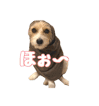 着せ替えピコラ（個別スタンプ：18）