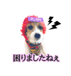 着せ替えピコラ（個別スタンプ：21）