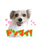 着せ替えピコラ（個別スタンプ：29）
