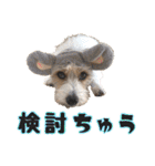 着せ替えピコラ（個別スタンプ：32）