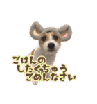 着せ替えピコラ（個別スタンプ：33）