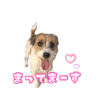 着せ替えピコラ（個別スタンプ：35）