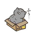 もちくま もちねこ1（個別スタンプ：20）