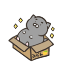 もちくま もちねこ1（個別スタンプ：21）