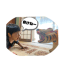 三浪家集合！（個別スタンプ：1）