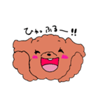 もふもふわんこーず（個別スタンプ：34）