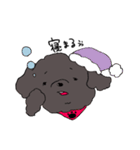 もふもふわんこーず（個別スタンプ：37）