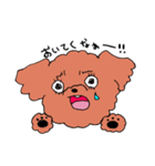 もふもふわんこーず（個別スタンプ：40）
