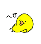 可愛いぴよこ（個別スタンプ：13）