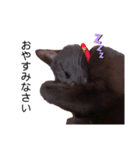 黒猫ひじきの敬語（個別スタンプ：4）