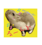 愛しのマカロン（個別スタンプ：4）
