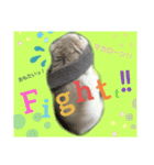 愛しのマカロン（個別スタンプ：8）