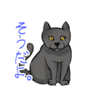 全肯定する黒猫（個別スタンプ：1）