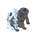 全肯定する黒猫（個別スタンプ：2）