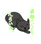 全肯定する黒猫（個別スタンプ：3）