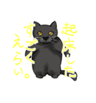 全肯定する黒猫（個別スタンプ：4）