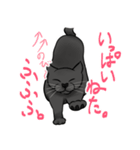 全肯定する黒猫（個別スタンプ：5）