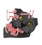 全肯定する黒猫（個別スタンプ：6）