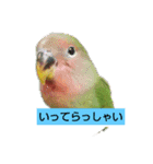Kawafamily6（個別スタンプ：3）