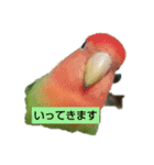 Kawafamily6（個別スタンプ：5）