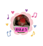 Kawafamily6（個別スタンプ：6）