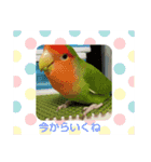 Kawafamily6（個別スタンプ：7）