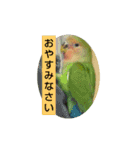 Kawafamily6（個別スタンプ：9）