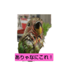 Kawafamily6（個別スタンプ：10）