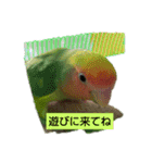 Kawafamily6（個別スタンプ：12）