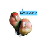 Kawafamily6（個別スタンプ：14）