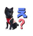 myucolon(◡̈)/2（個別スタンプ：1）